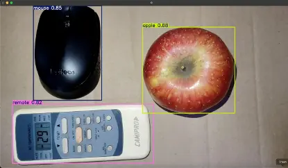 YOLO Object Recognition